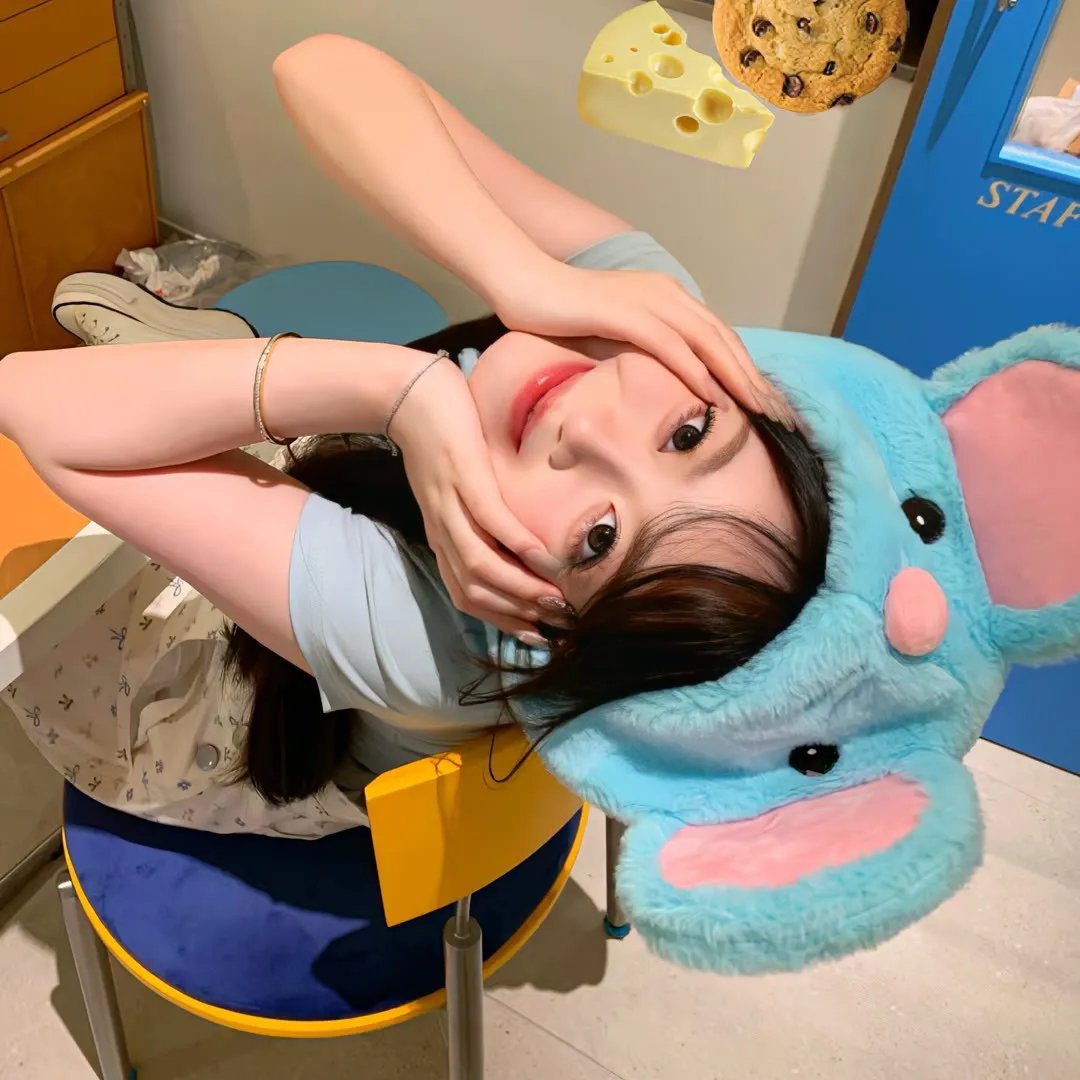 猫行东方